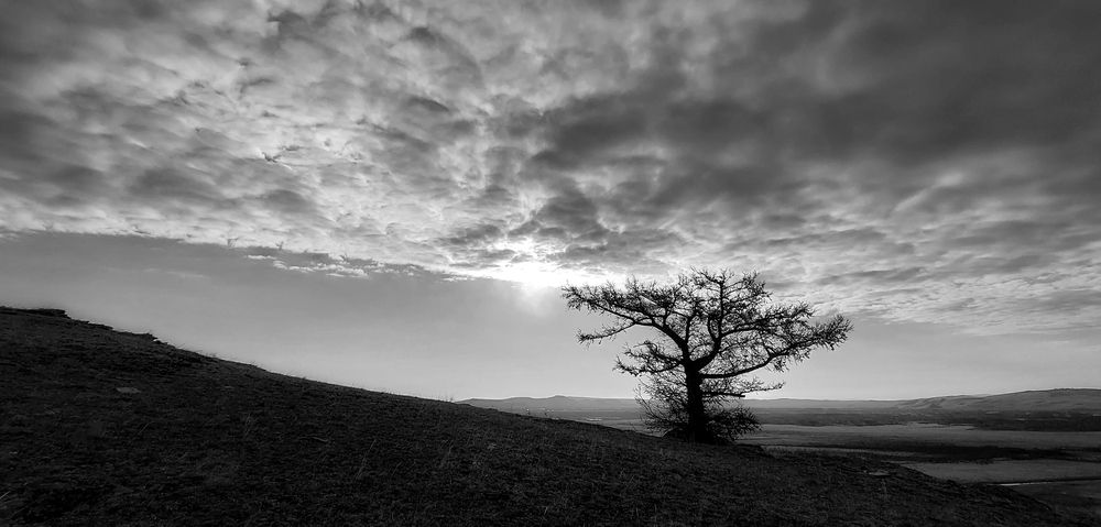 Photograph by Фомина Марина