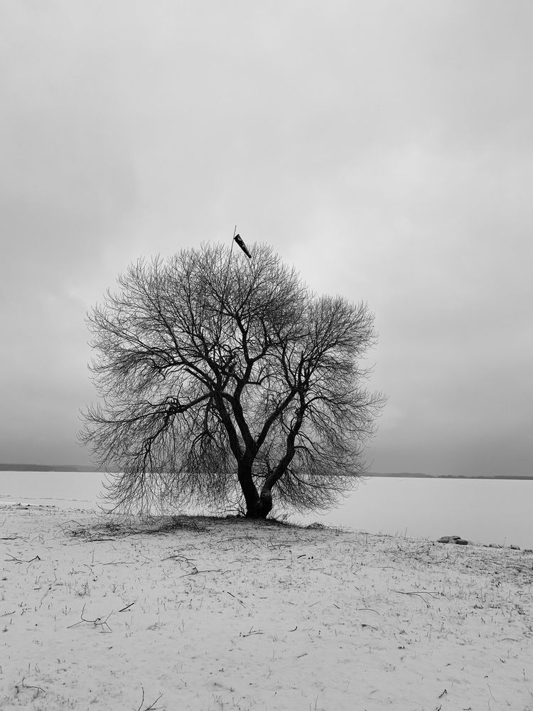 Фотография автора Ирина Шпаковская