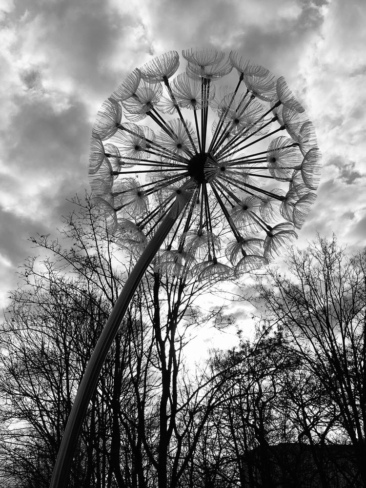 Фотография автора Ирина Шпаковская