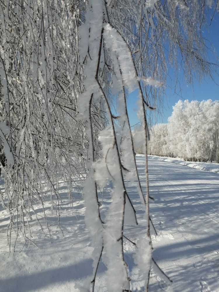Photograph by Галина Попова