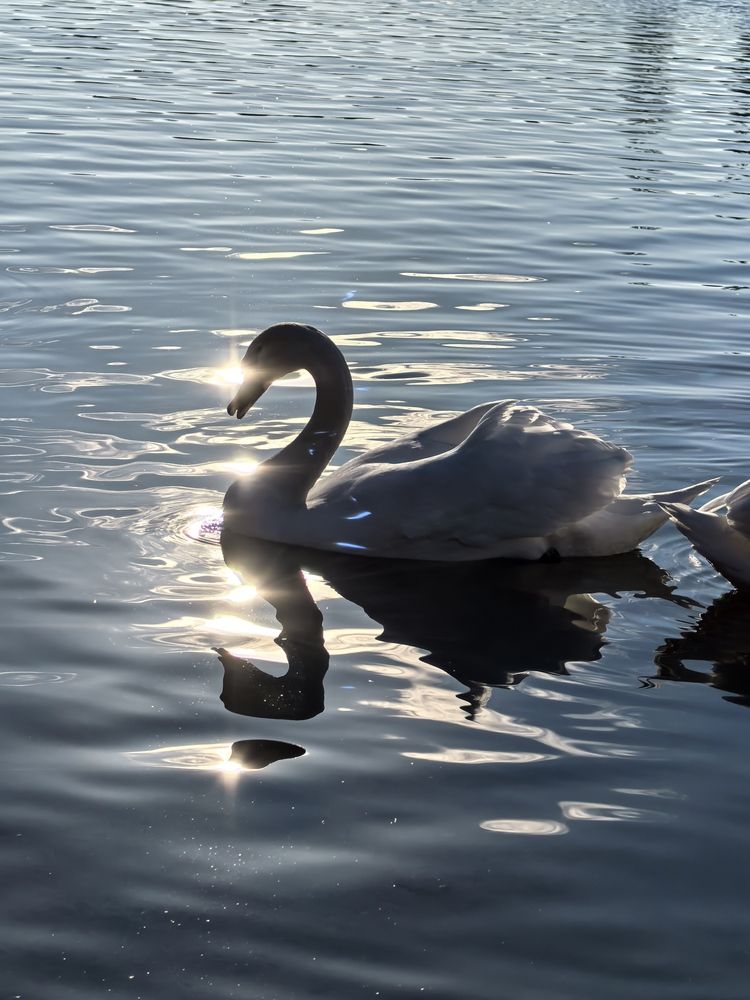 Photograph by Елизавета Зыкова