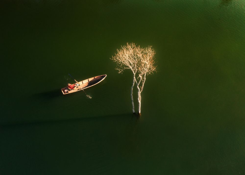 Фотография автора Dao Ngoc Canh