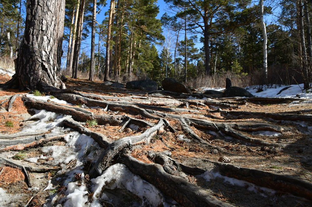 Photograph by Владимир Колесников