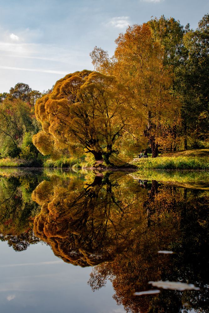 Фотография автора Денис Мартыновский