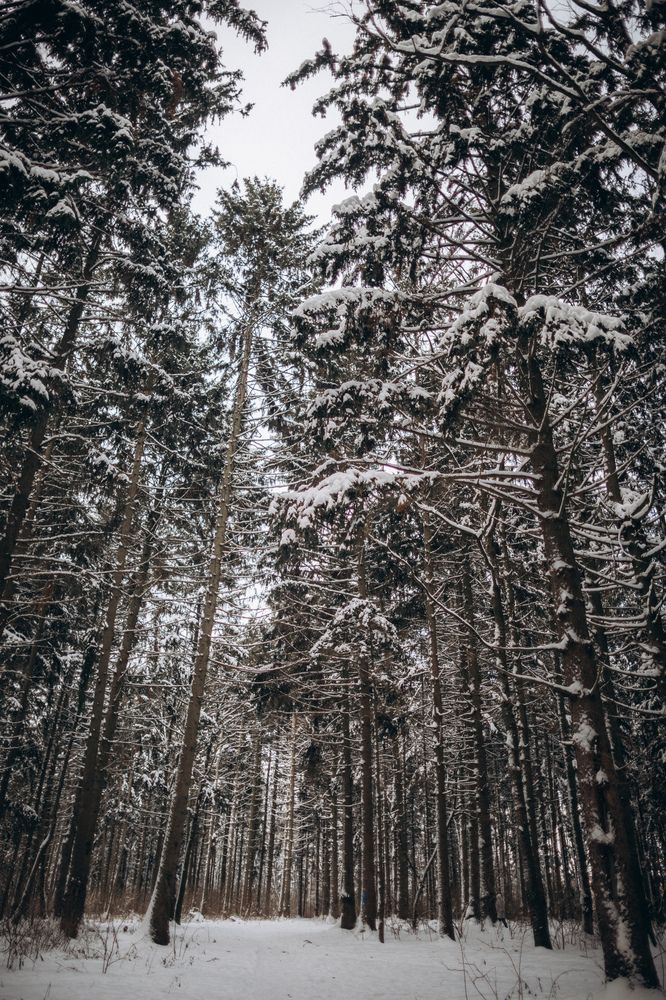 Photograph by Елена Копылова