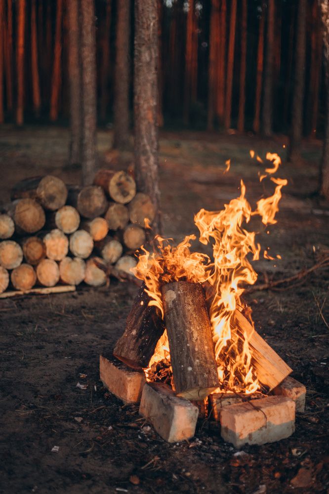 Photograph by Елена Копылова