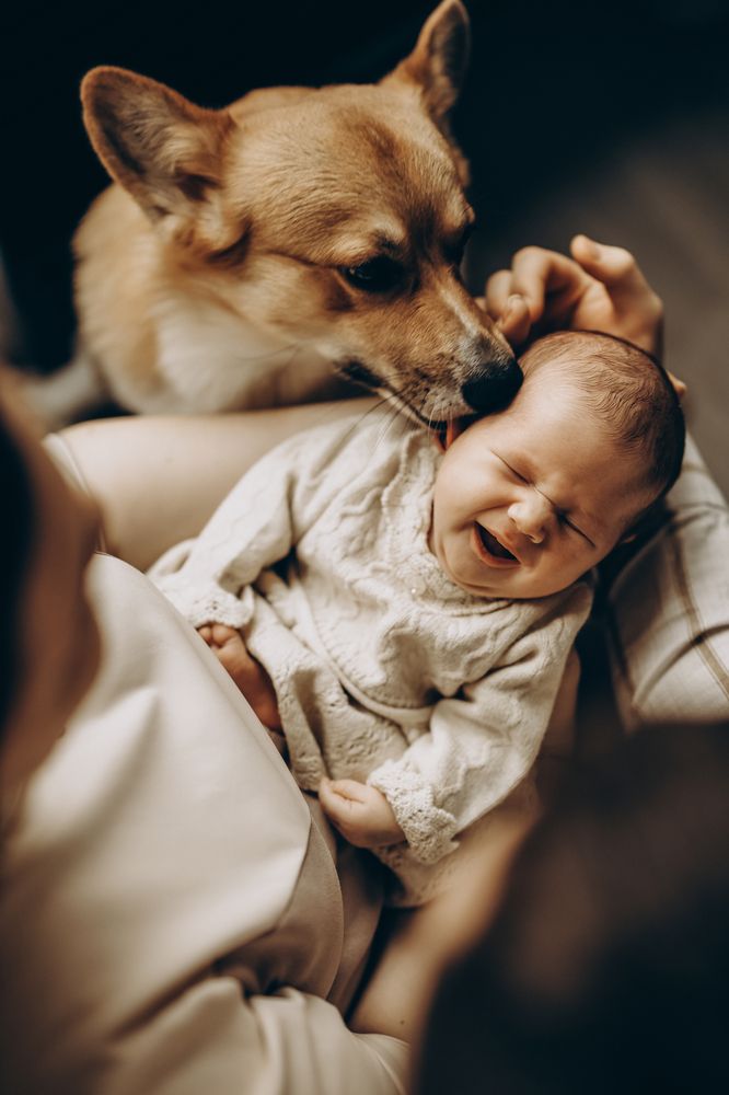 Photograph by Ульяна