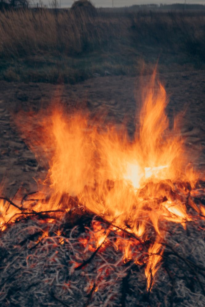 Photograph by Елена Копылова