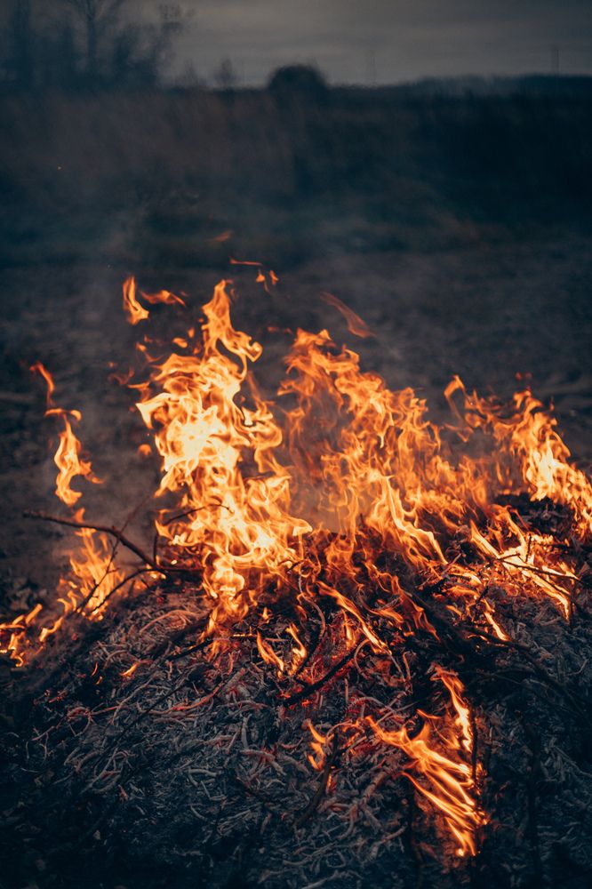 Photograph by Елена Копылова