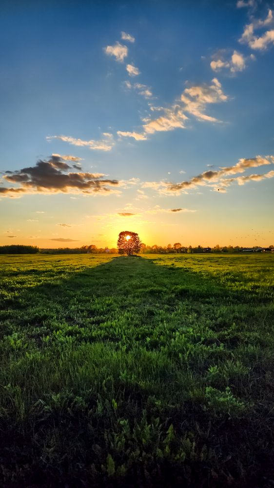 Photograph by Екатерина Горчилина