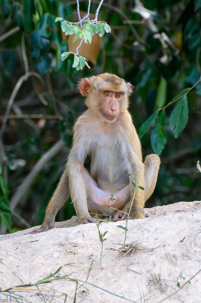 Photograph by Вячеслав Белов