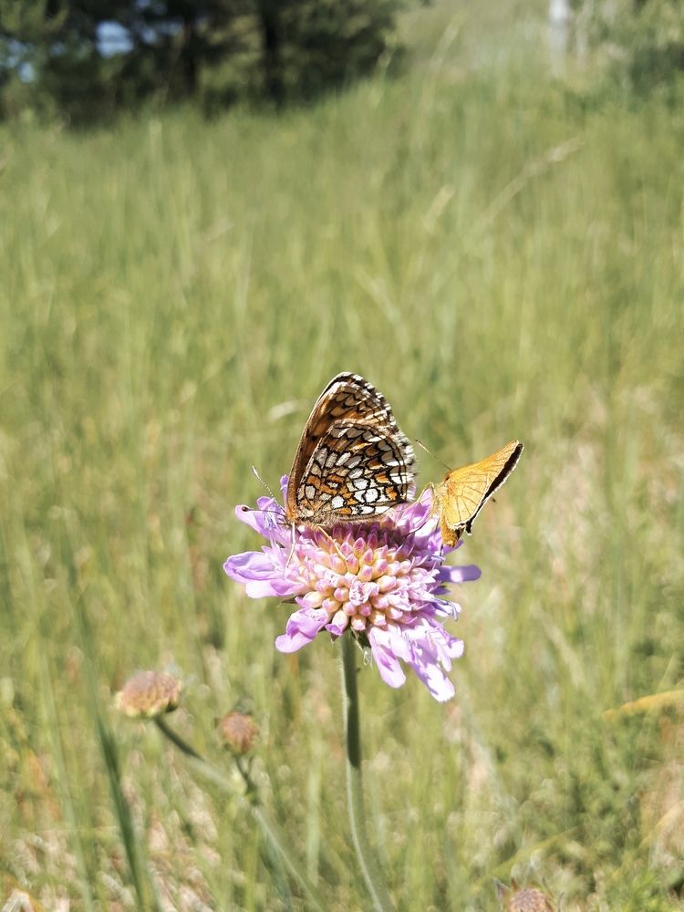 Photograph by София Лысова