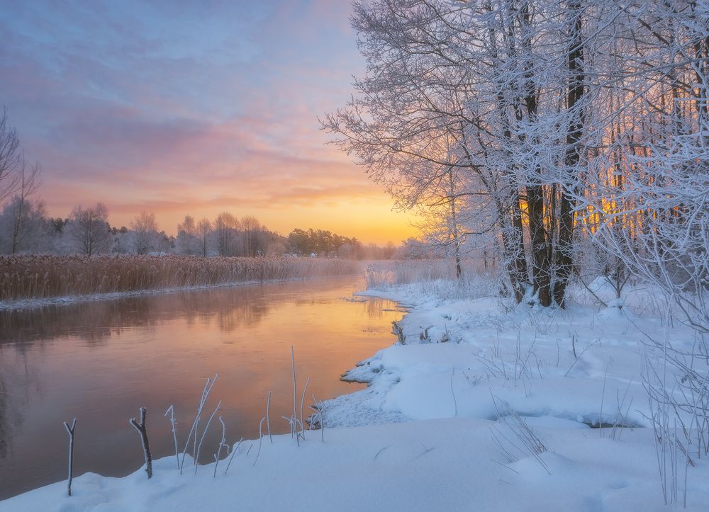 Photograph by Andrew Kuzmin