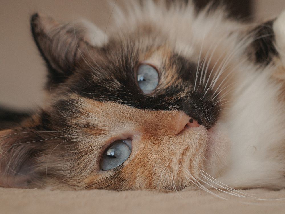 Photograph by Русский Голод