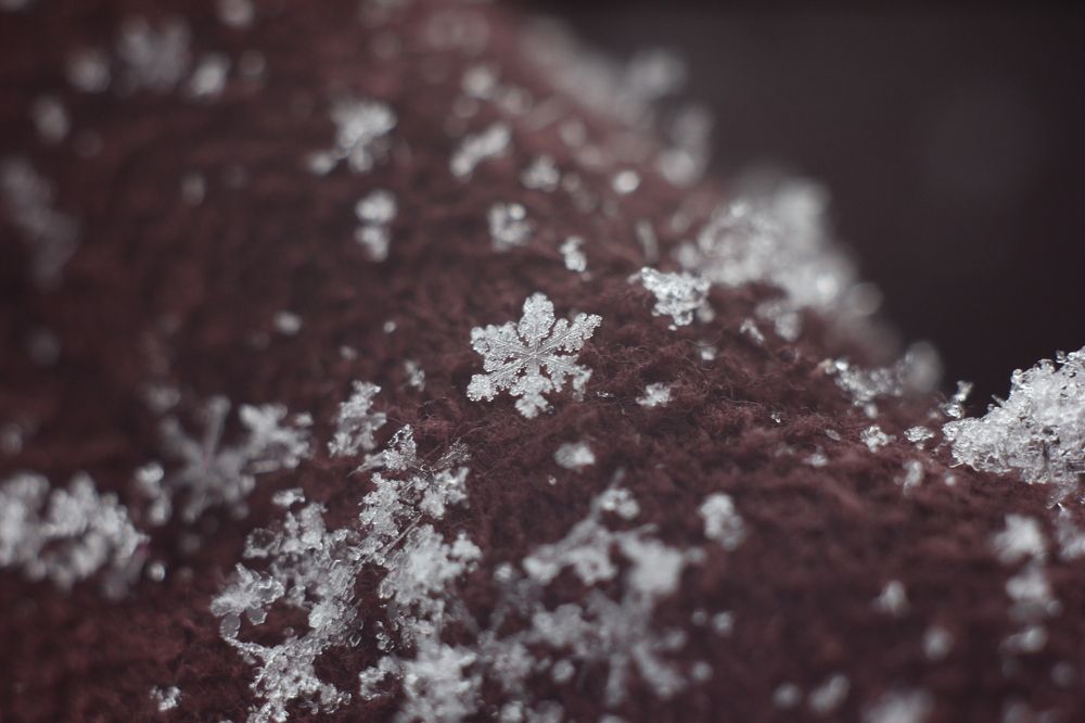 Photograph by Oxana Ryabtseva