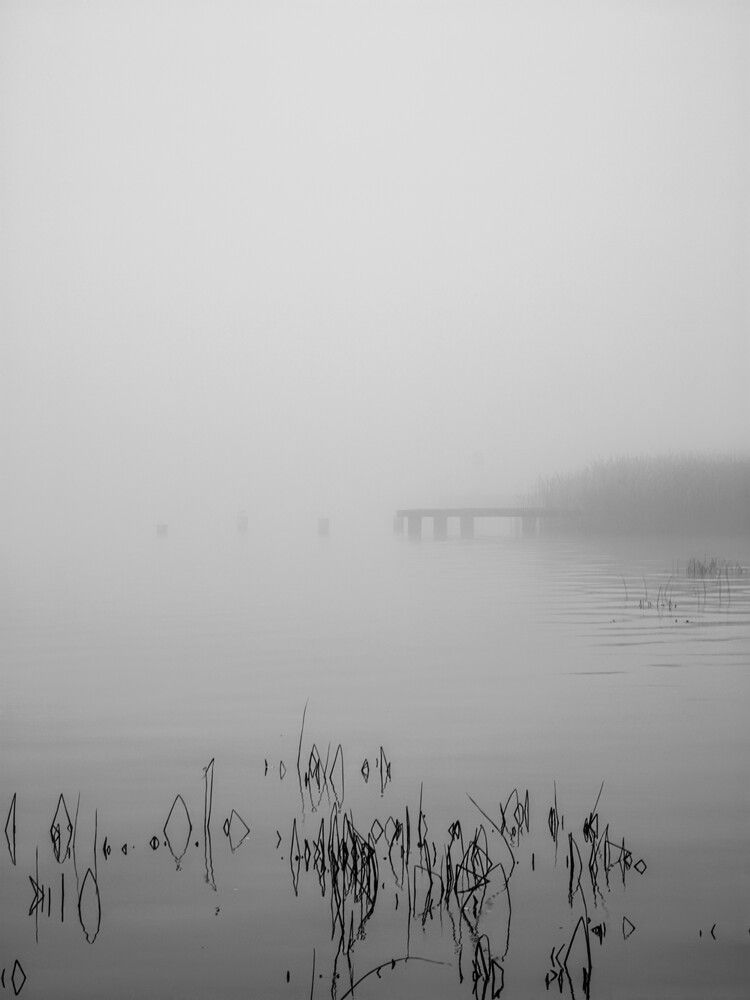 Photograph by Ксения Шилина