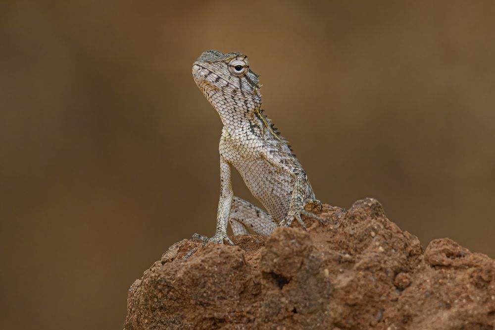 Photograph by Валерия Трейтяк