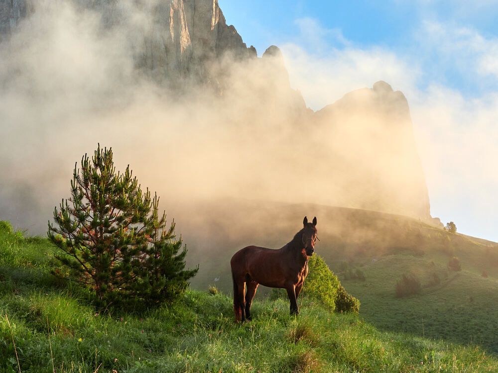 Photograph by Александр Авдушев