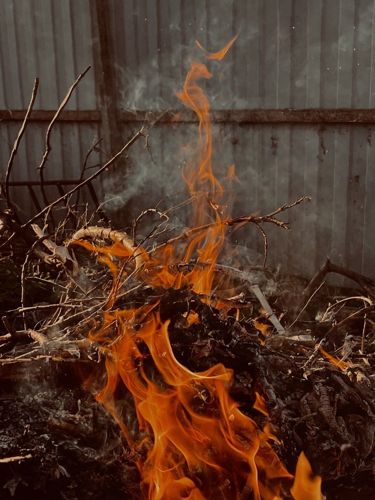 Photograph by София Лысова