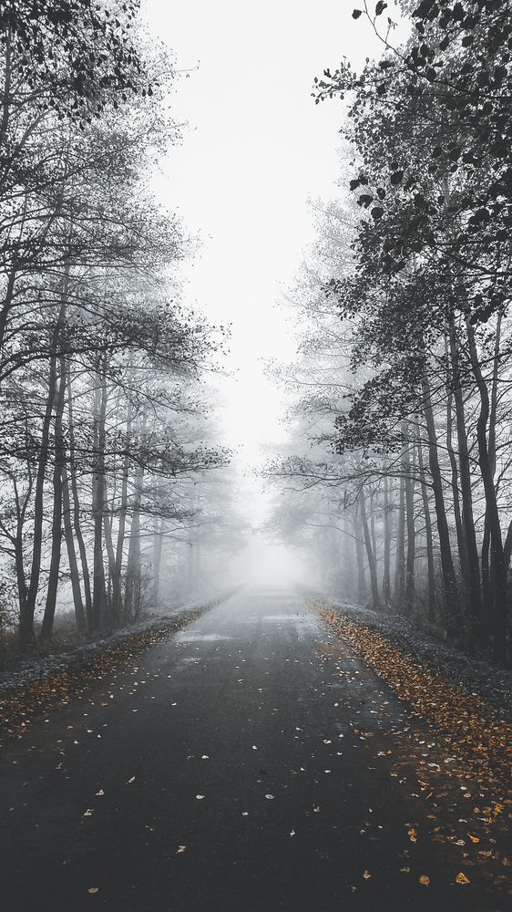 Photograph by Сергей Коляда