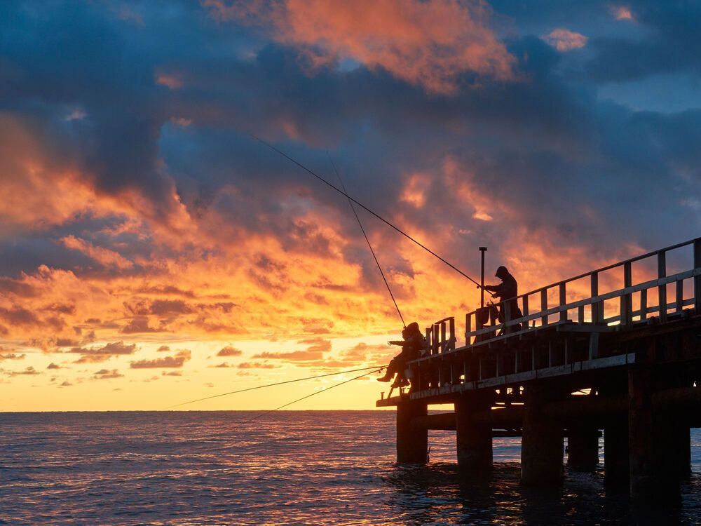 Photograph by Александр Авдушев