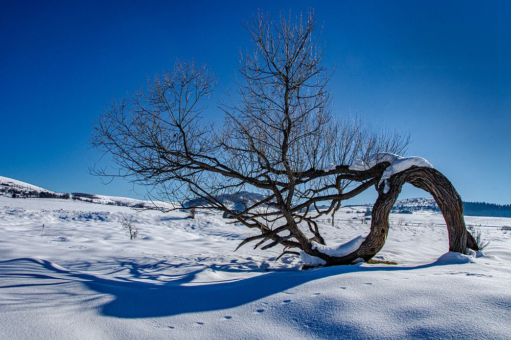 Photograph by Slavko Rošul