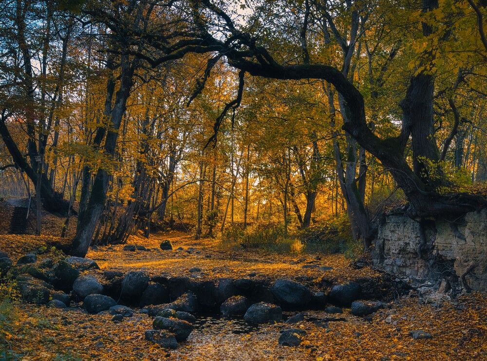 Photograph by Janis Serdienis