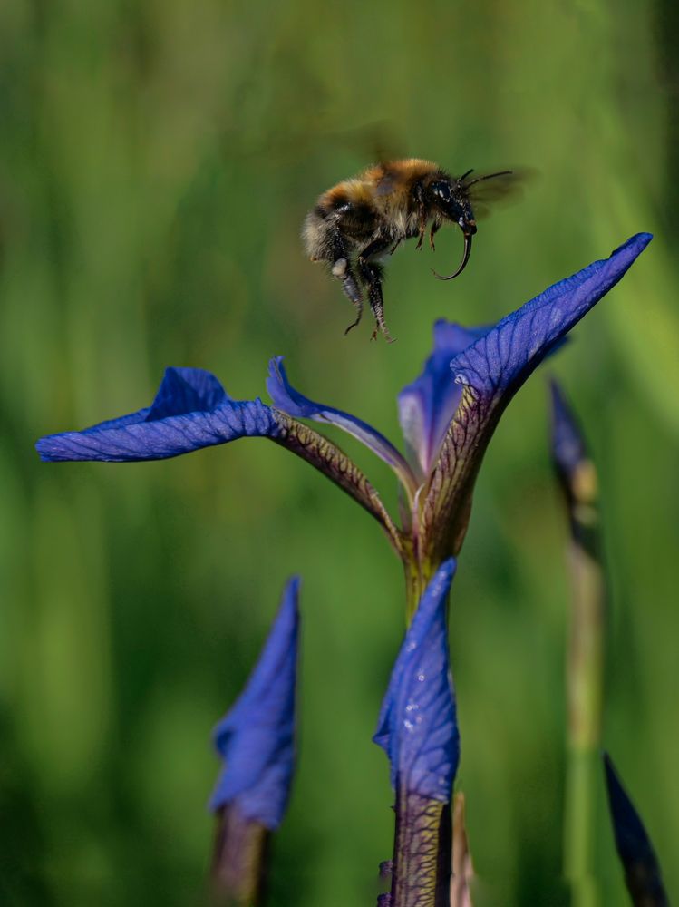 Фотография автора Барышева Надежда