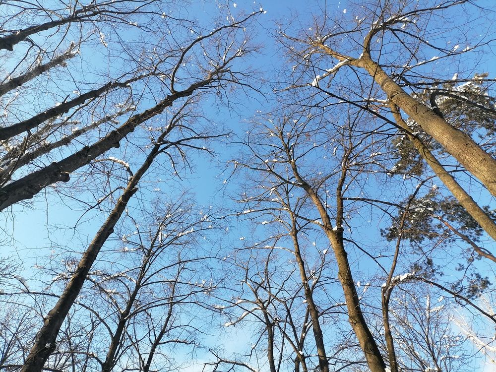 Photograph by Виктор Захаров