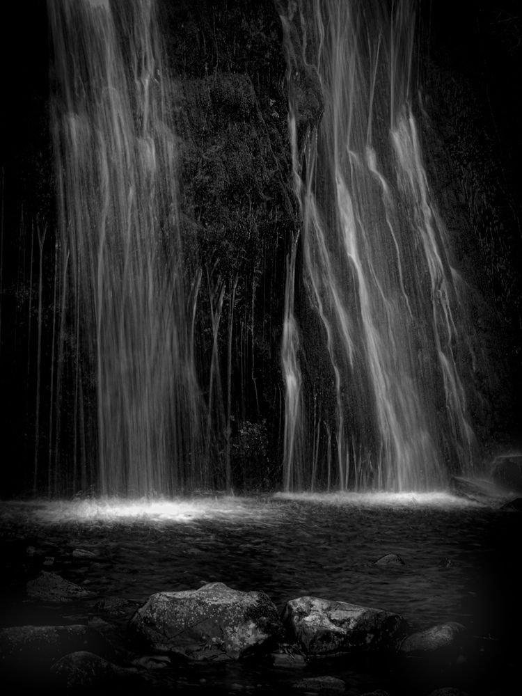 Фотография автора Michael Gault