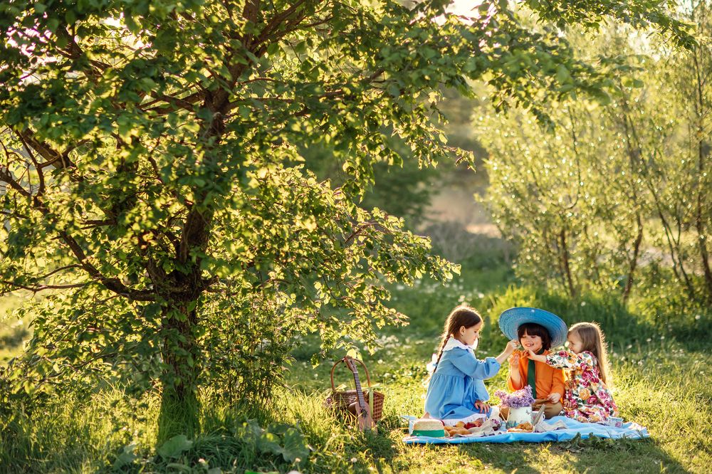 Незнайка в цветочном городе