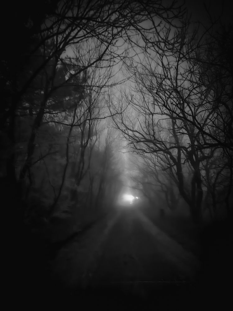 Photograph by Igor M.