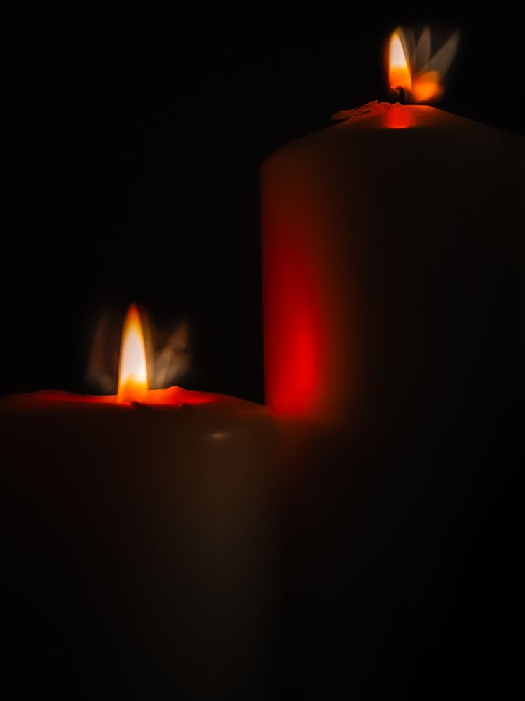 Photograph by Anya Lo