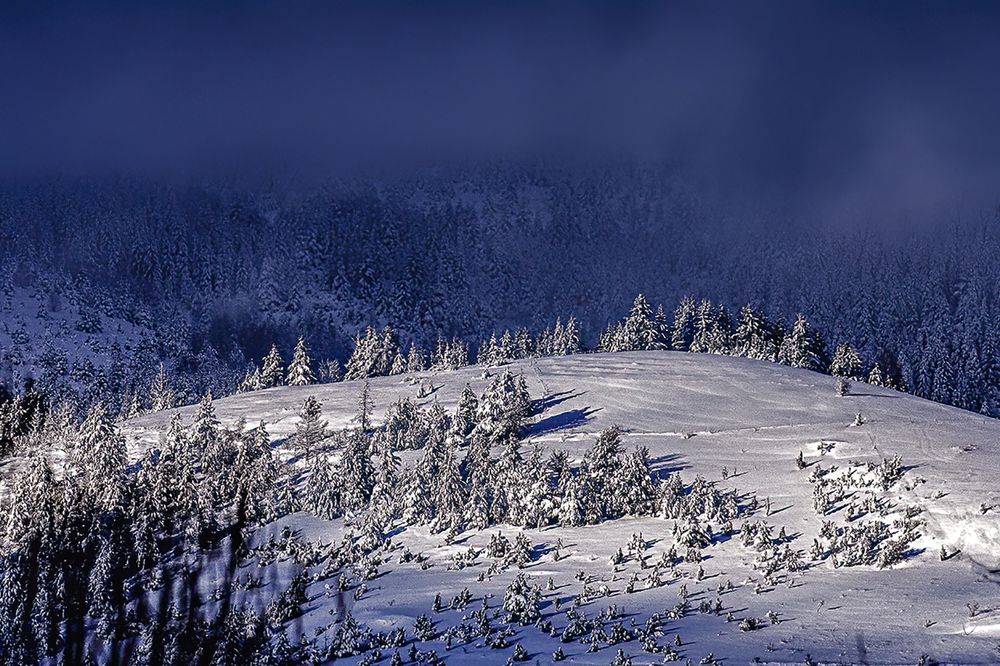 Photograph by Slavko Rošul