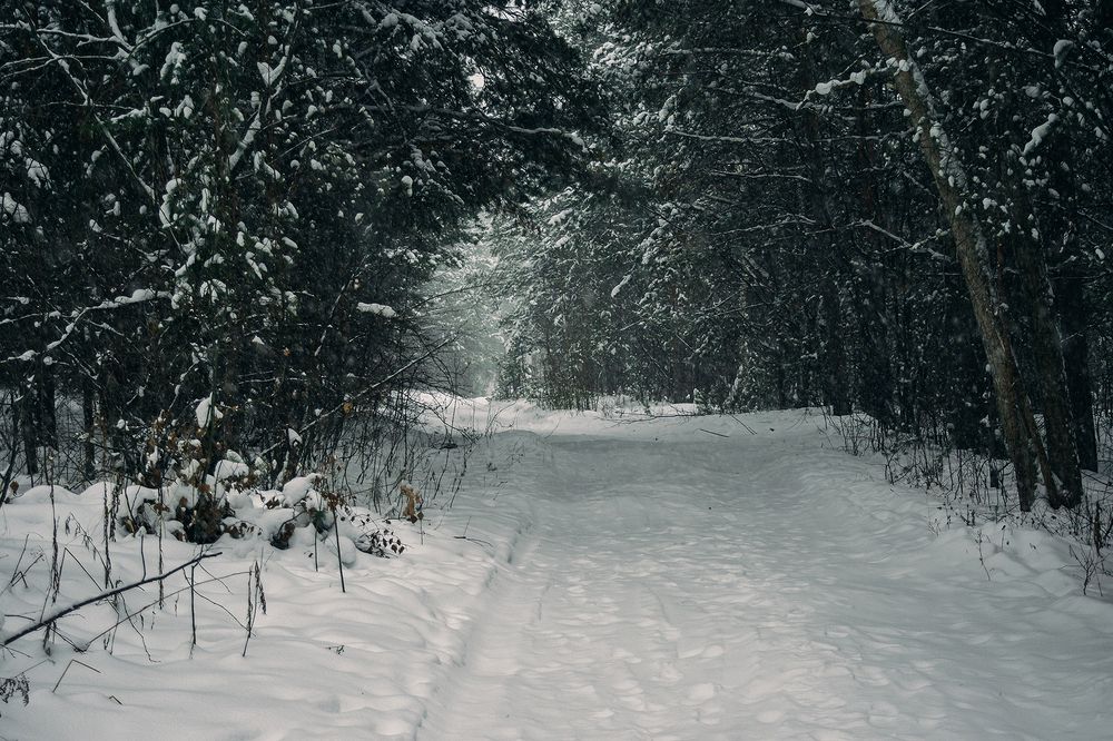 Photograph by Ivan Osipov