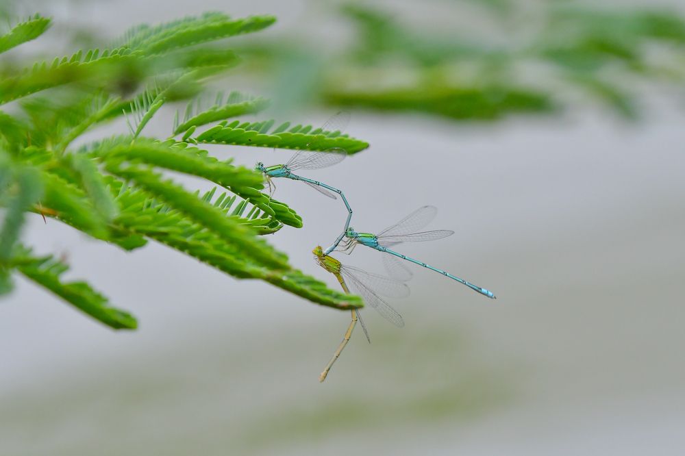 Photograph by Devang Soni