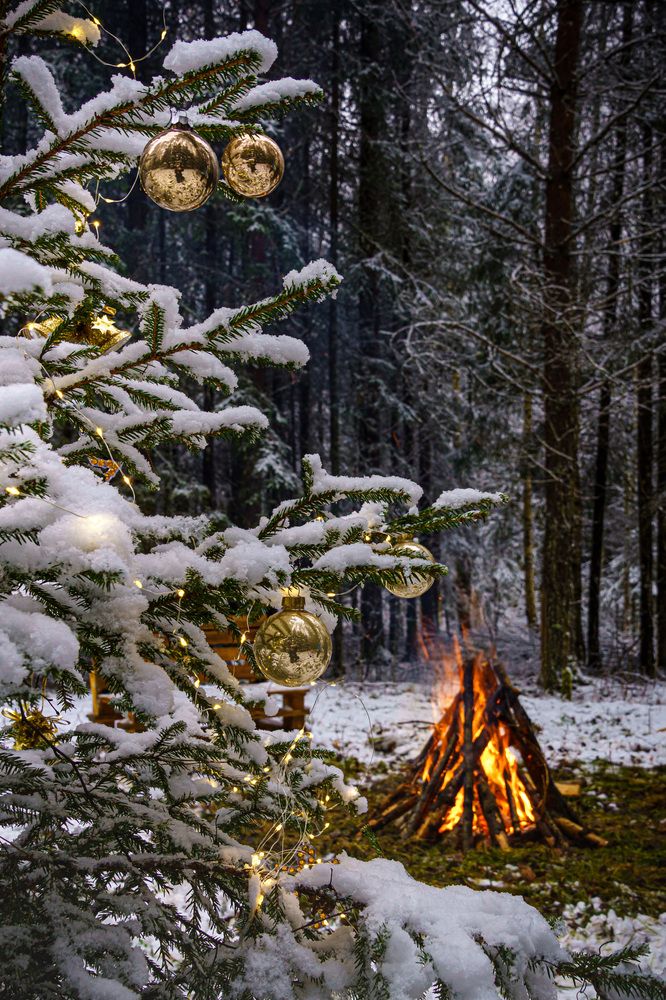 Photograph by Valdis Serzhans