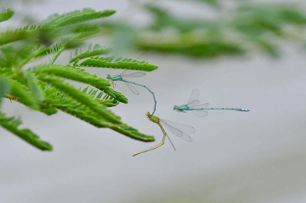 Photograph by Devang Soni