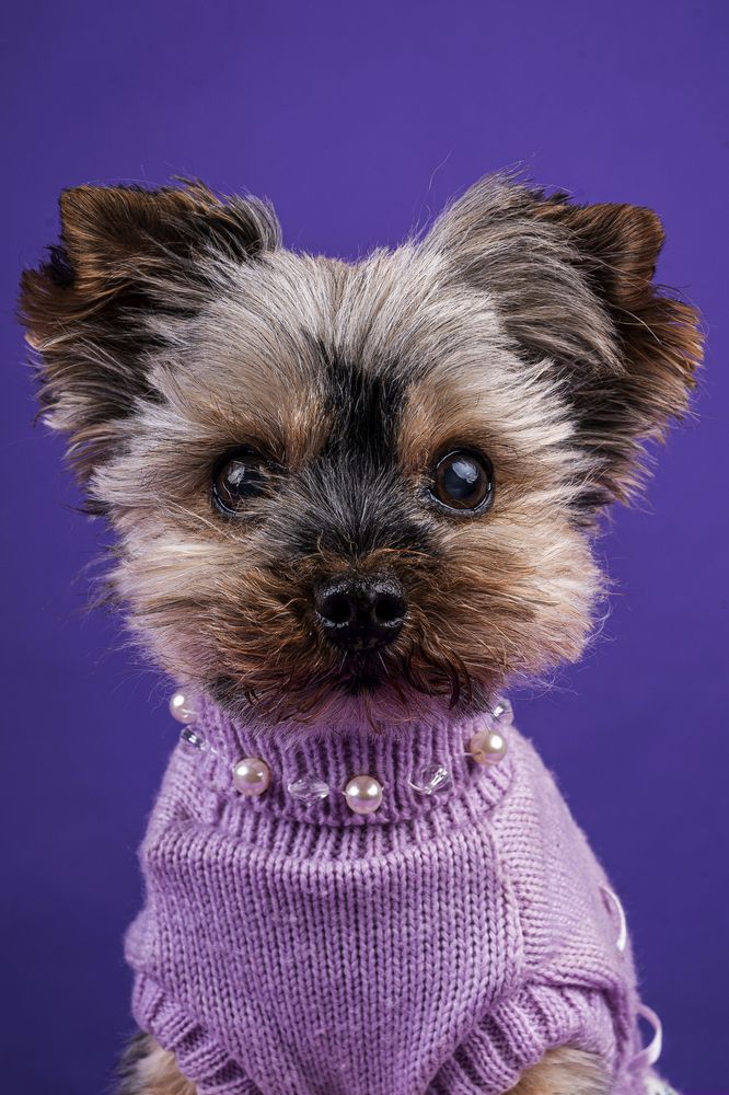 Photograph by Cristian Umili