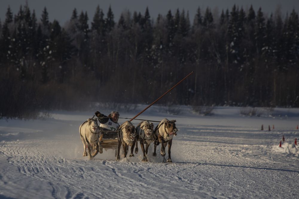 Photograph by Татьяна Борисова