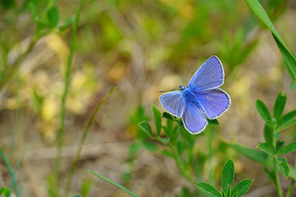 Photograph by Valdis Serzhans