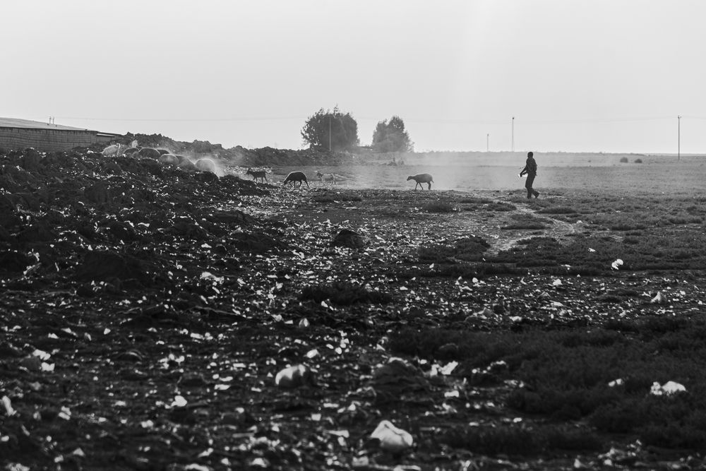 Photograph by ho3in afroozeh