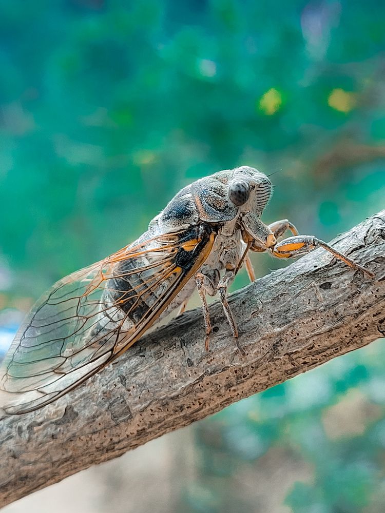 Photograph by Владислав Моисеев