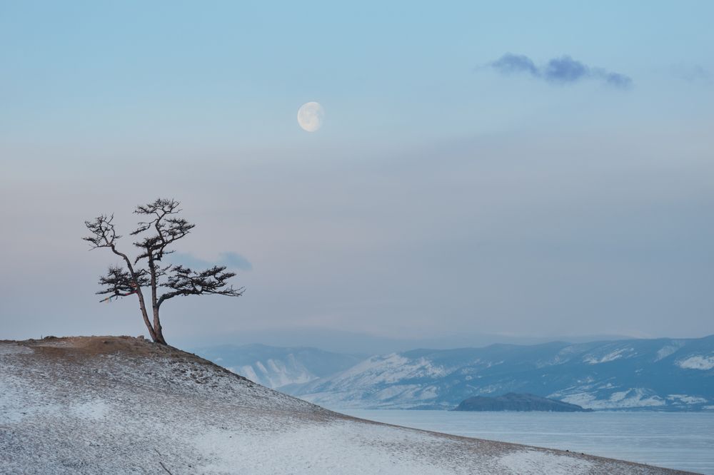 Photograph by Ирина Бородина