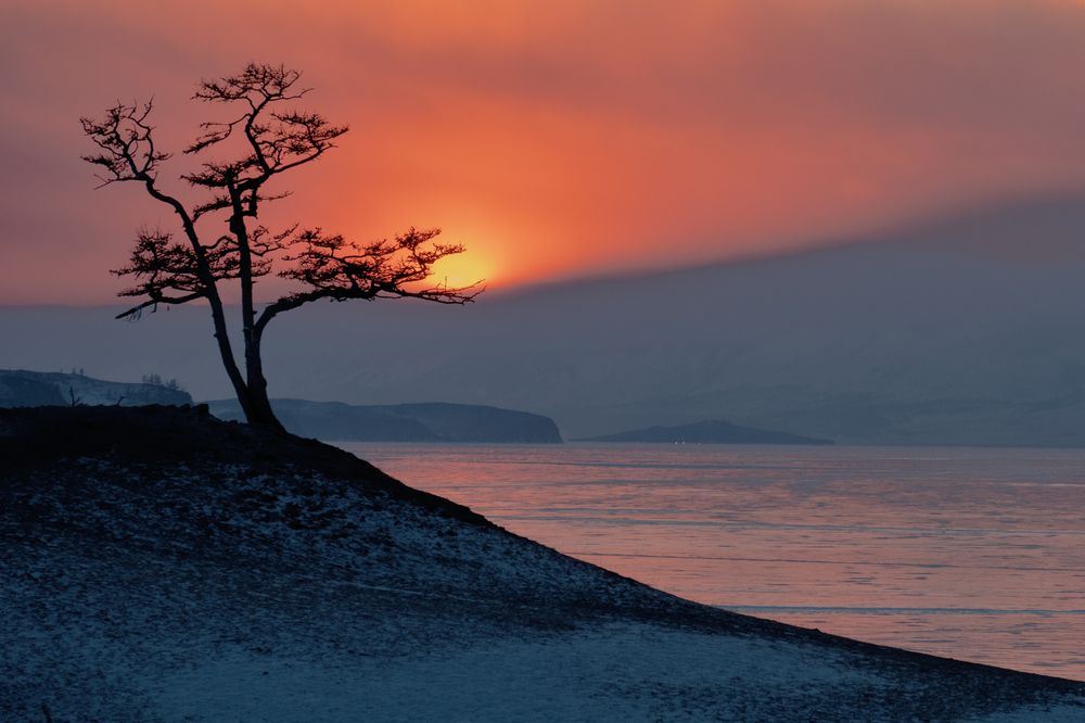 Photograph by Ирина Бородина