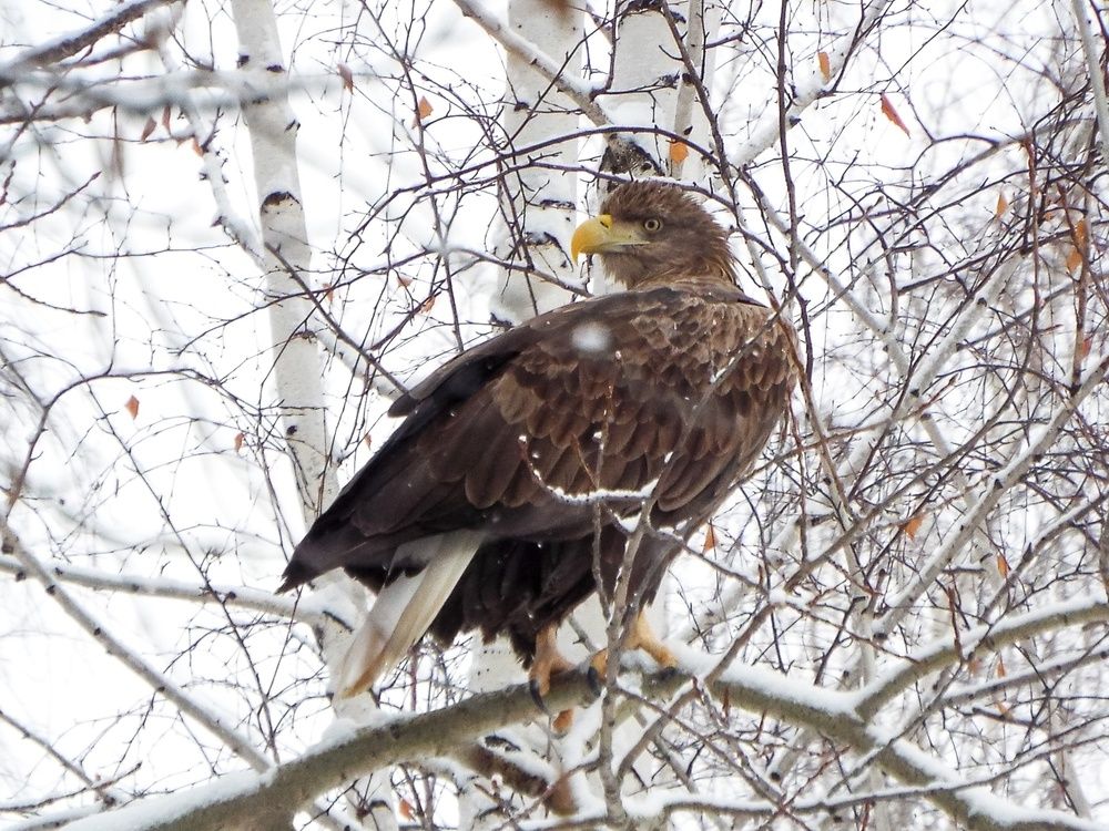 Photograph by Евгения Антропова
