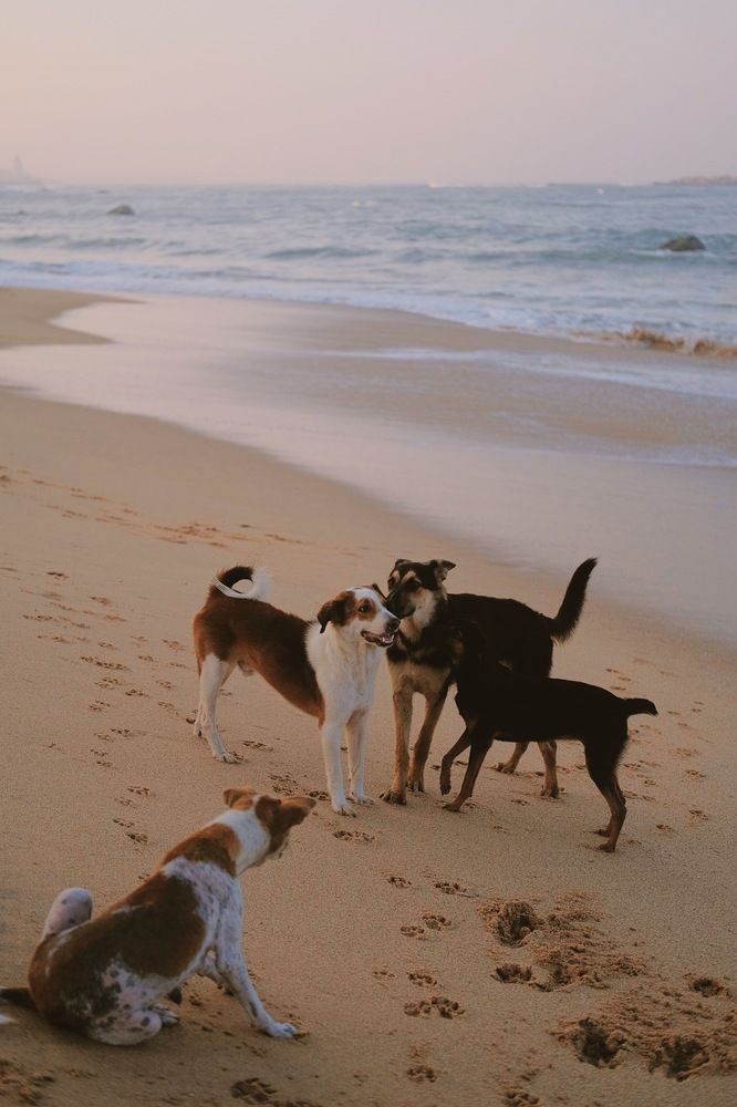 Photograph by Аида Фай