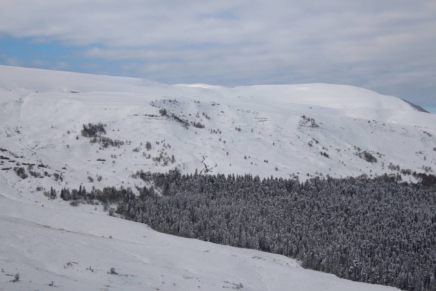 Photo #11926698