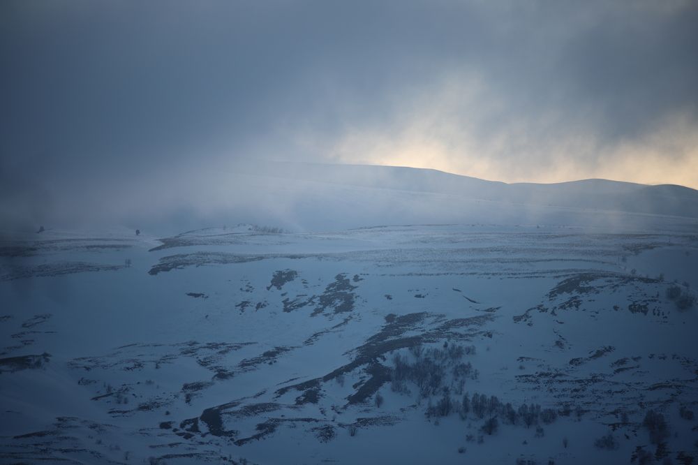 Photograph by Цибуляк Анна