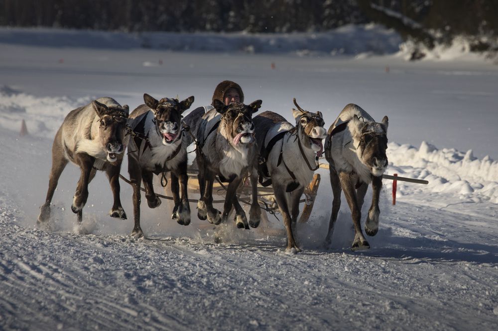 Photograph by Татьяна Борисова